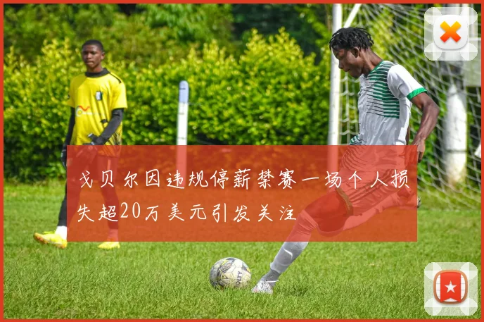 戈贝尔因违规停薪禁赛一场个人损失超20万美元引发关注