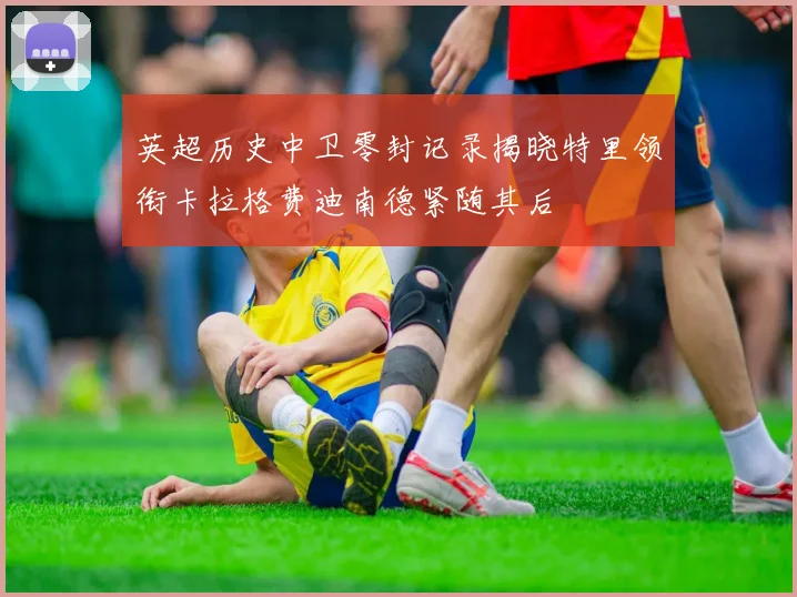 英超历史中卫零封记录揭晓特里领衔卡拉格费迪南德紧随其后