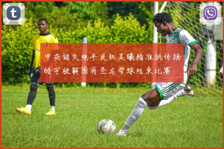 申花错失绝平良机吴曦精准挑传杨皓宇被解围蒋圣龙带球结束比赛