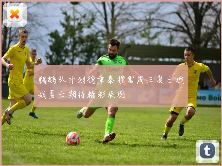 鹈鹕队计划德章泰穆雷周三复出迎战勇士期待精彩表现