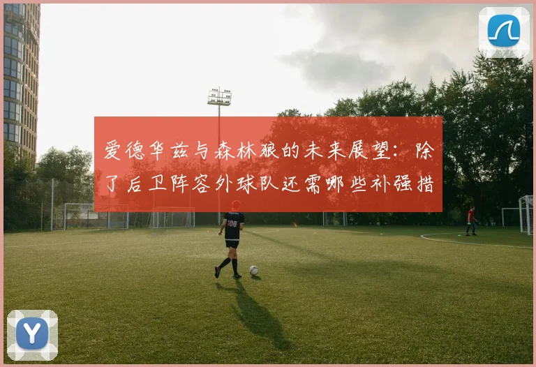 爱德华兹与森林狼的未来展望：除了后卫阵容外球队还需哪些补强措施