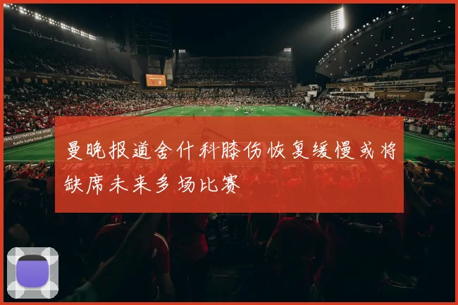 曼晚报道舍什科膝伤恢复缓慢或将缺席未来多场比赛
